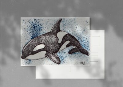 world of illustration design whale
