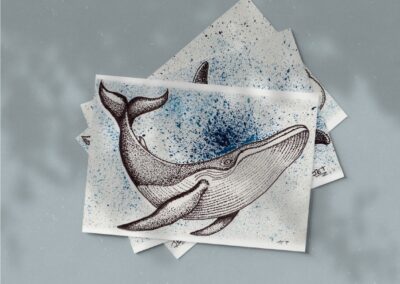 illustration design whales